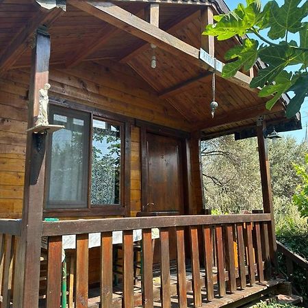 Olimpos Bungalov Apart Aparthotel Balikliova Exterior foto